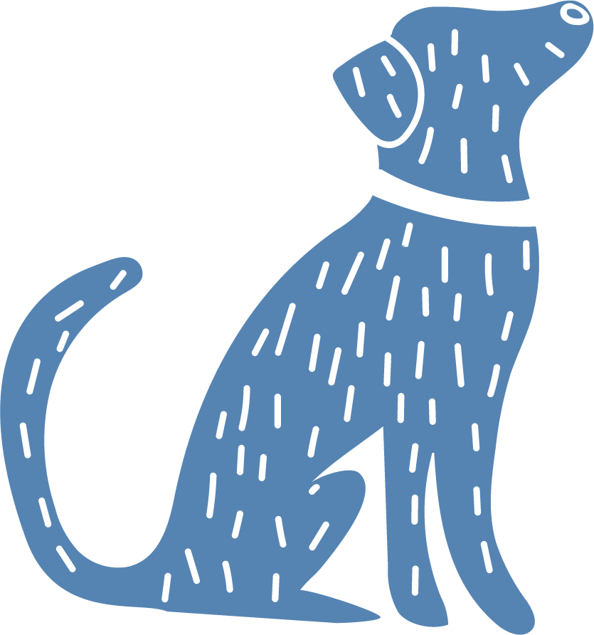 Small Animal Medicine