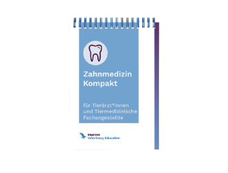IVE_DE_Dentistry pocket guide_Creatives_Aug2025_Landing Thumbnail IVE_DE_Dentistry pocket guide_Creatives_Aug2025_Landing Thumbnail