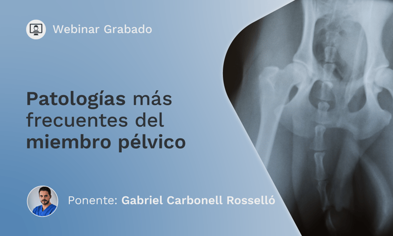 IVE_ES_SAOS Webinar_EHeader_2_May2025
