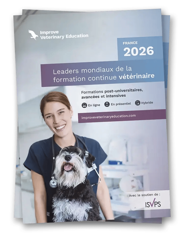 IVE_FR_Brochure_mockup 2_Apr2026 IVE_FR_Brochure_mockup 2_Apr2026