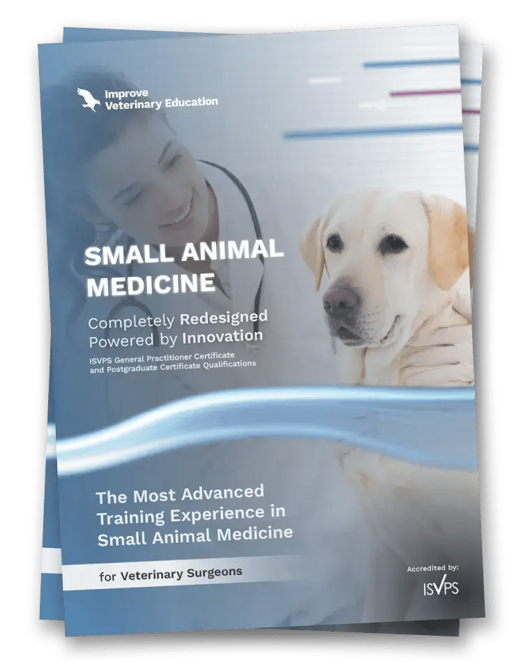 IVE_UK_SAM Brochure_mockup_website_Jan2026