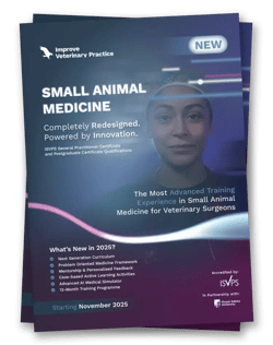 IVE_UK_SAM New programmes_Brochure_Mockup