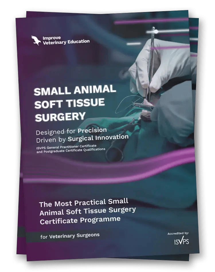 IVE_UK_STS Brochure_mockup_website_Fev2026 (1)