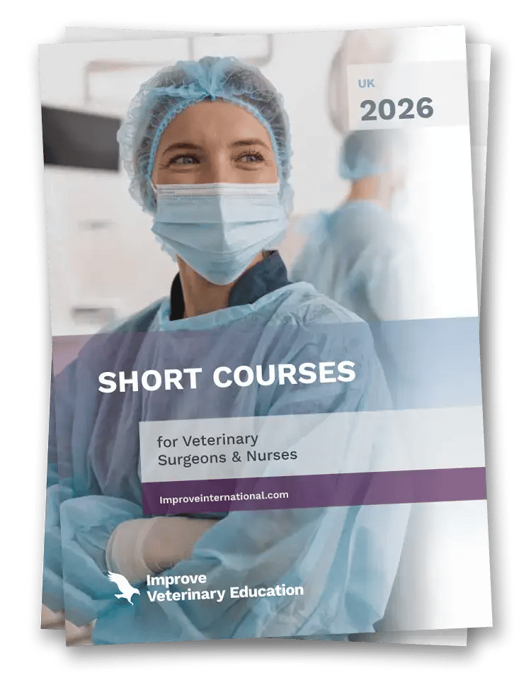 IVE_UK_Short Courses_mockup_website_Sep2025
