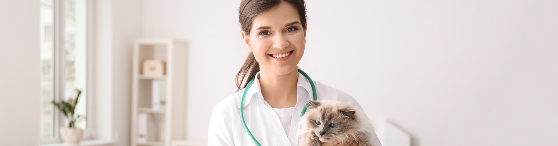 IVE_GPAdvCert_SummaryThumb