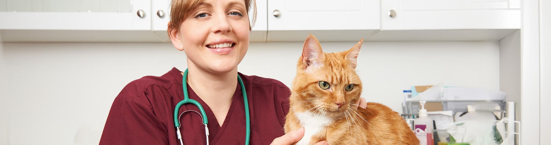 IVE_NCert VTCert VPPCert_SummaryThumb