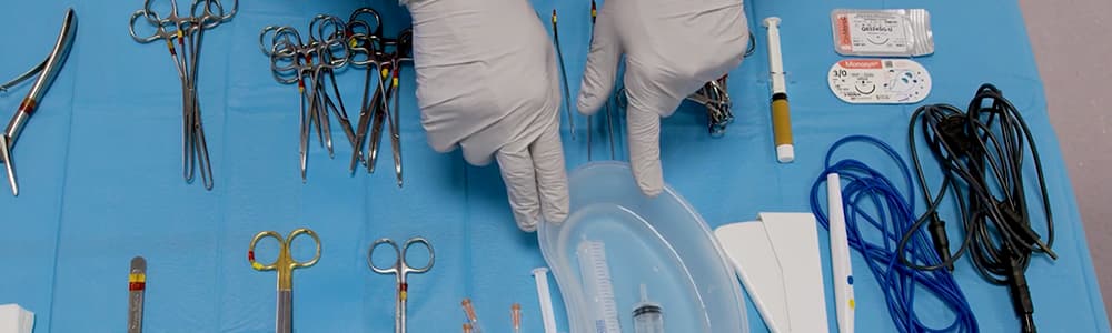 IVE_UK_Webinar_SAS Rostral Bilateral Mandibulectomy_LP Header_Nov2025 (1)